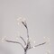 Perfect Holiday 60LED Tree Lights, Battery Operated - Warm White